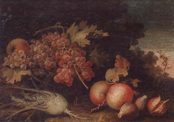 Still lifes of Grapes,figs,apples,pears,pomegranates,black currants and fennel,within a landscape setting, unknow artist